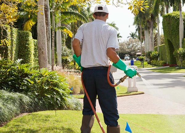 About Stetson ME Pest Control Pros